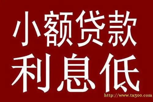 四川省成都市新津区：资金的魔法钥匙 短期应急没烦恼 2024