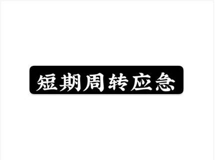 四川省成都市高新西区：资金困境不再忧，2024 发布新策略